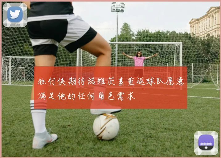 独行侠期待诺维茨基重返球队愿意满足他的任何角色需求